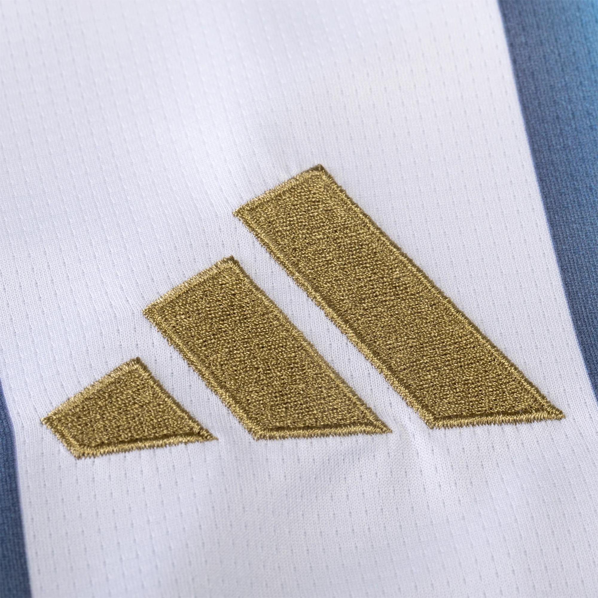Messi 10 Argentina WC2026 Home Jersey โ Fan Version (Half Sleeve) - Image 4